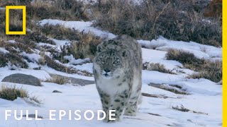 Mountains Full Episode  Hostile Planet [upl. by Winnick]