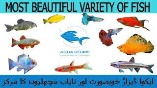 Aquarium Fish Shop  Fish Aquarium at Aqua Desire Islamabad  Ocean Life Pakistan [upl. by Oster]