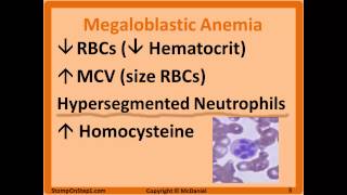 Folate amp B12 Deficiency Megaloblastic Anemia Hypersegmented Macrocytic Methylmalonic [upl. by Erdman]