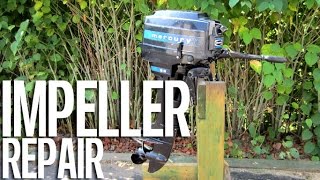 HOWTO Impeller water pump Replacement In Mercury Outboard Motor [upl. by Burr]