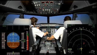 Airbus A320 TCASRA Warning [upl. by Limaj]