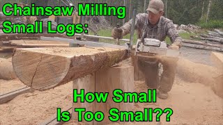 Chainsaw Mill Small Logs [upl. by Vookles]