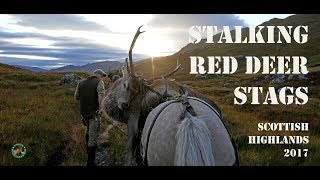 Stalking Red Deer Stags Scottish Highlands 2017 [upl. by Goeger]