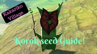 BotW Guides  Kakariko Village Korok Seed Guide [upl. by Ecnaiva]