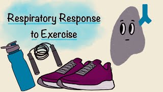 Respiratory Response To Exercise  Respiratory Physiology [upl. by Euqinotna]