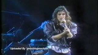 Laura Branigan  quotPower Of Lovequot LIVE 1988 [upl. by Ynaittirb]