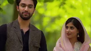 O matti k parindey Hum Tv Drama Yaqeen Ka Safar Richa Sharma [upl. by Eblehs]