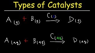 Homogeneous vs Heterogeneous Catalysts  Basic Introduction [upl. by Mushro]