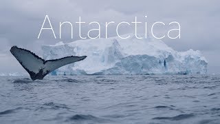 ANTARCTICA  The Frozen Continent  4k DRONE Video [upl. by Ahtennek]