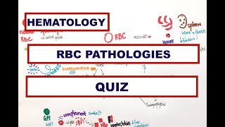 RBC Pathology Microcytic anemia Sickle cell PNH Sideroblastic AIHA Fe Deficiency  USMLE  MCQ [upl. by Nevi]