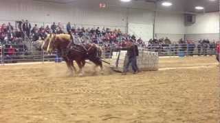 Orangeville Horses Pull 18000 lbs 2013 [upl. by Leidgam]