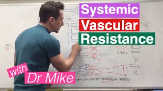 Systemic Vascular Resistance Total Peripheral Resistance  Cardiology [upl. by Nesral]