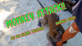 Monkey attacks in Phi Phi Monkey Island Thailand [upl. by Laryssa686]