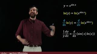 Logarithmic Differentiation  Example xsinx [upl. by Anifur]