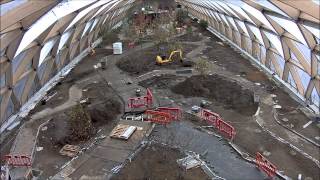 Fosters Crossrail Place roof garden at Canary Wharf [upl. by Hi120]