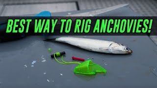 HOW TO Rig amp Fish With Anchovy Helmets For SALMON PROVEN METHOD [upl. by Harl587]