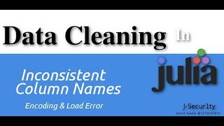 Data Cleaning In Julia Intro [upl. by Ihcehcu]