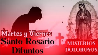 Santo Rosario por los Difuntos  Misterios Dolorosos  Martes y Viernes [upl. by Hanad984]