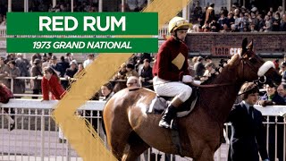 Classic Grand National No 1  Red Rum 1973 [upl. by Dari]