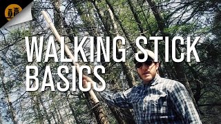 Walking Stick Basics [upl. by Faustina]