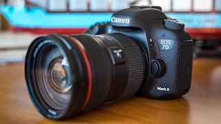 Tested Canon 7D Mark II vs 6D Cameras [upl. by Aenneea]