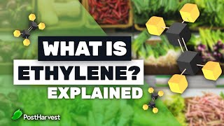 What is Ethylene [upl. by Erdnaet]