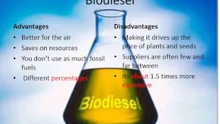 The Difference Between Diesel and Biodiesel [upl. by Angele]