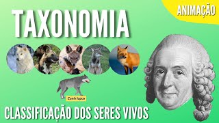 TAXONOMIA  CLASSIFICAÇÃO DOS SERES VIVOS  Animação [upl. by Bergh863]