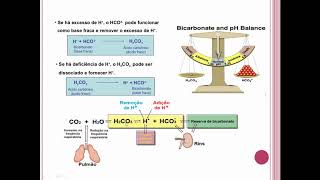 Sistema tampão bicarbonato [upl. by Anilrac346]