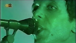 Mercury Rev  Live Spain Full Show [upl. by Ahsratal]