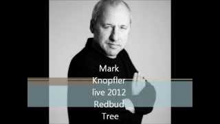 Mark knopfler live 2012 Redbud Tree [upl. by Roux]