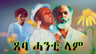 Abera Beyene  Tseba Hanti lam  Eritrean Tigrigna Music 2020 [upl. by Meesak609]