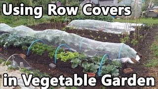 Using Row Covers in Vegetable Garden  fleece enviromesh veggiemesh insect and bird netting [upl. by Aurlie744]