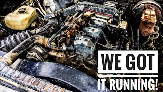 How To Prime or Bleed a Diesel 12Valve Cummins [upl. by Garin]