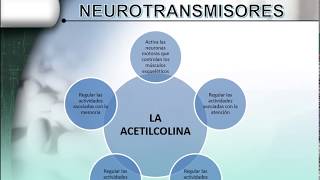 NEUROTRANSMISORES [upl. by Rebmetpes]