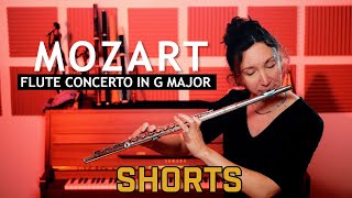 Mozart G Major Flute Concerto quotAllegro Maestosoquot [upl. by Leonora]