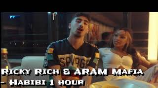 Ricky Rich amp ARAM Mafia  Habibi 1 hour [upl. by Ahsatniuq5]