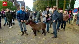 Paardenmarkt Zuidlaren drukker bezocht [upl. by Llecrad194]