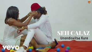 Seh Calaz  Unondisvitsa Kure Official Video [upl. by Silado703]