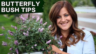 Butterfly Bush Care Tips  Garden Answer [upl. by Janyte]