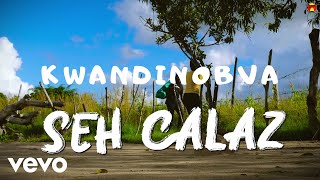 Seh Calaz  Kwandinobva Official Video [upl. by Anaahs]