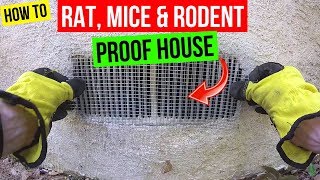 How To Protect your Home from Rats Mice amp Rodents Jonny DIY [upl. by Nyrad]