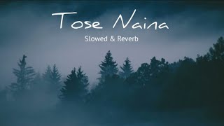 Tose Naina Lage  Shilpa Rao slow and reverb [upl. by Nananne513]