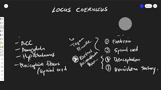 Locus Coeruleus Anatomy amp Physiology [upl. by Romy]