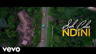 Seh Calaz  Ndini Official Video [upl. by Parish986]