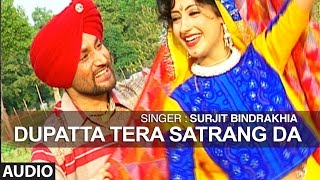 Dupatta Tera Satrang Da  Punjabi Audio Song  Surjit Bindrakhiya  TSeries [upl. by Marwin]