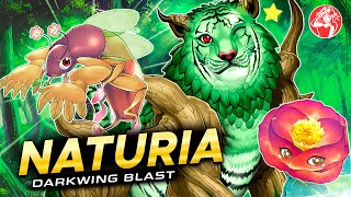 NATURIA Deck 🌲  Post Darkwing Blast EDOPRO Duels [upl. by Eeralav]