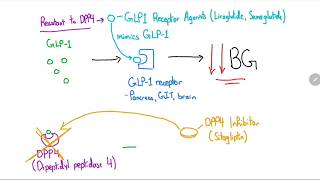 GLP1 Receptor Agonists and DPP4 Inhibitors Explained in 4 Minutes [upl. by Letisha]