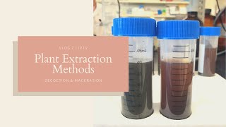 Plant Extraction Methods  Decoction and Maceration  JPTV [upl. by Nolyaw]