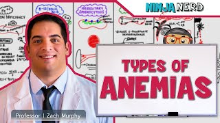 Hematology  Types of Anemias [upl. by Anders401]